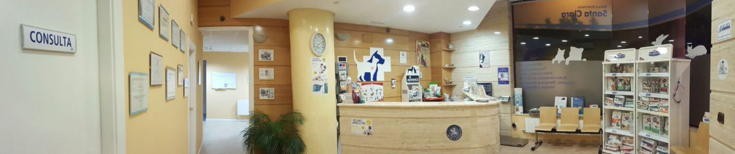 clínica veterinaria en Valladolid